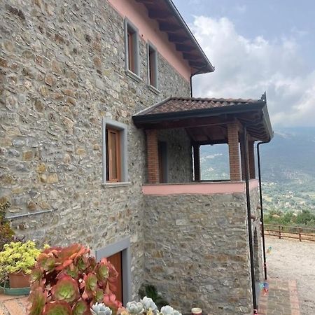 Albanella Tenuta Il Giardino Di Eros المظهر الخارجي الصورة